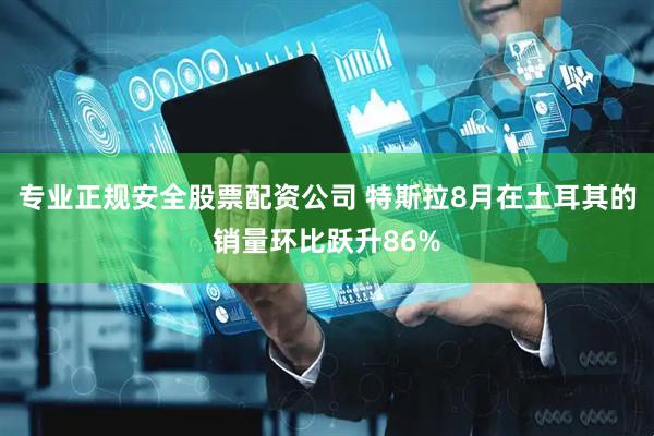 专业正规安全股票配资公司 特斯拉8月在土耳其的销量环比跃升86%